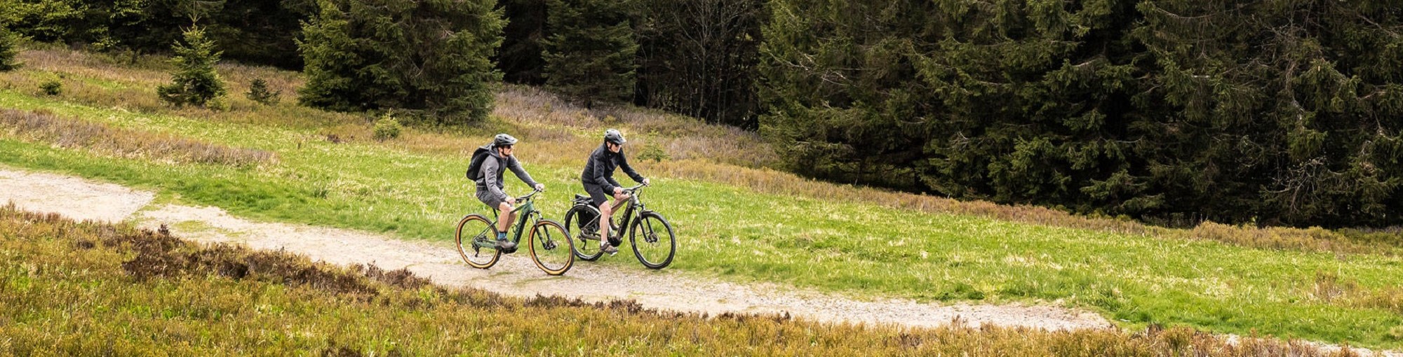 E-Bike Hardtail